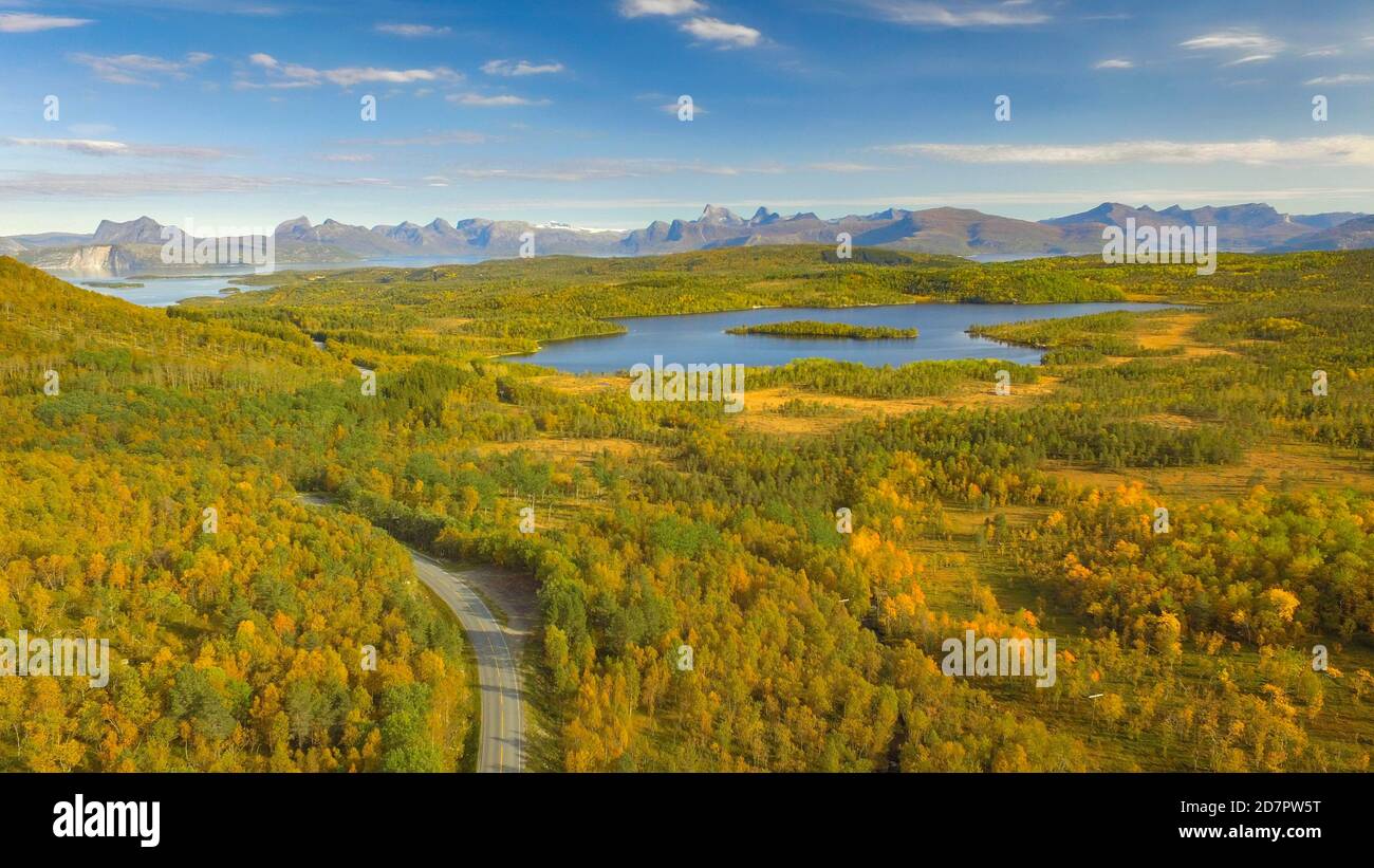 Luftbild, herbstlicher Wald an den Fjells, Landstraße neben dem See Botnvatnet, Bergkette im Hintergrund, Hamaroy, Nordland, Norwegen Stockfoto