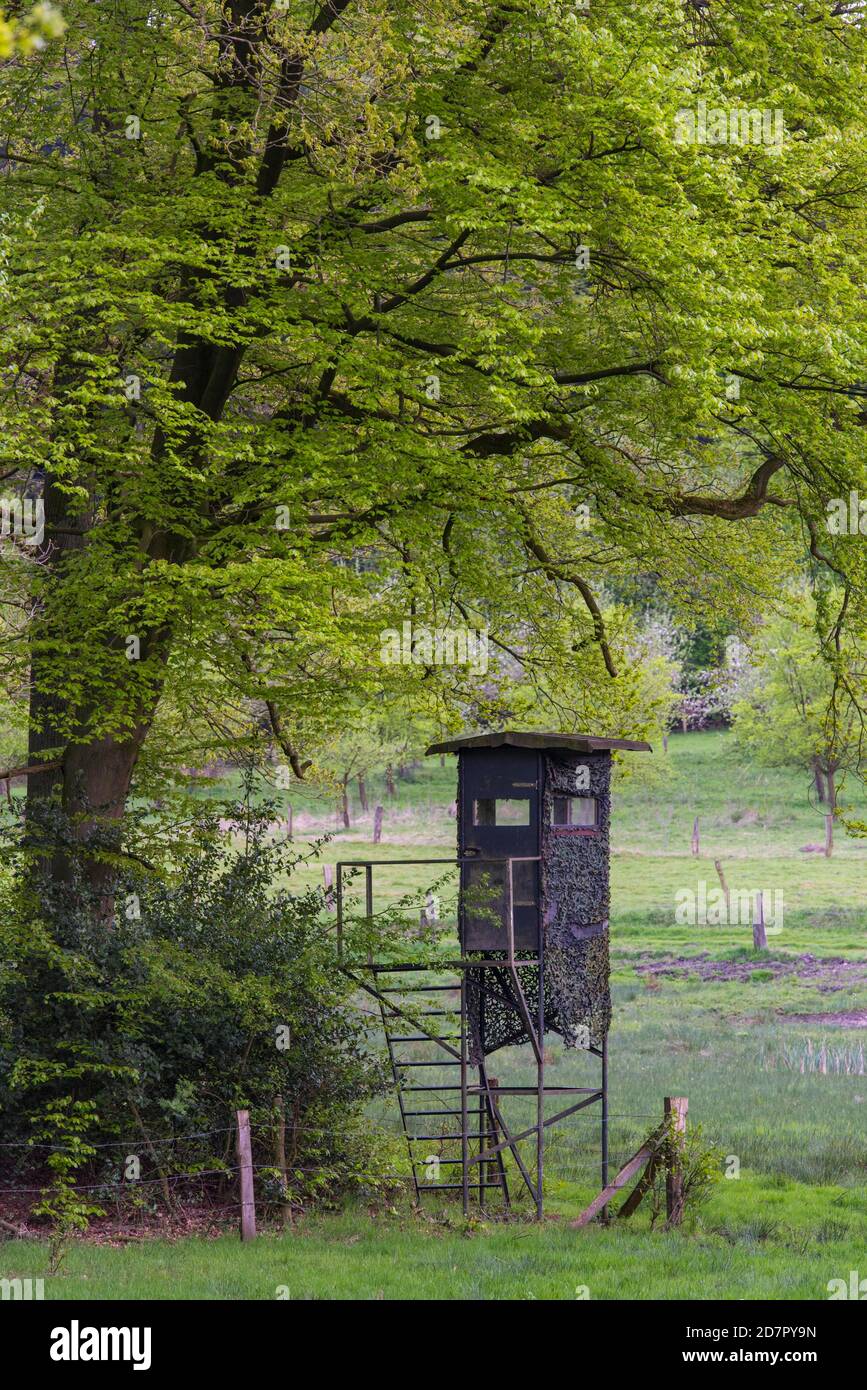 Hoher Sitz im Dammer Gebirge, Oldenburger Münsterland, Damme, Niedersachsen, Deutschland Stockfoto