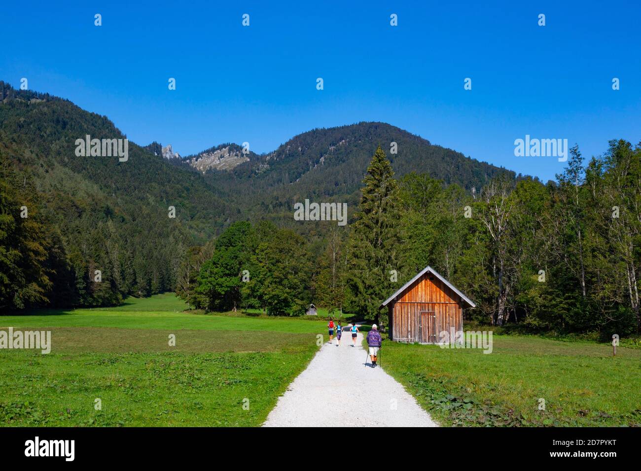 Wanderweg vom Schwarzensee zur Moosalm, Gemeinde St.Wolfgang, Salzkammergut, Oberösterreich, Österreich Stockfoto