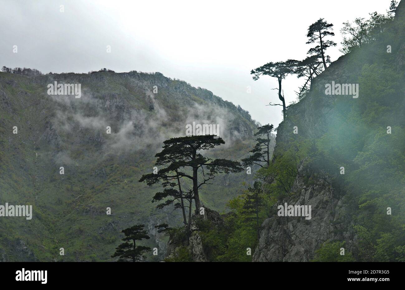 Morgenwanderung, Blick auf neblige Berge, Wälder, Bäume, Frühlingsfeuchte und Kälte, Sonnenaufgang, neblige Berglandschaft. Stockfoto