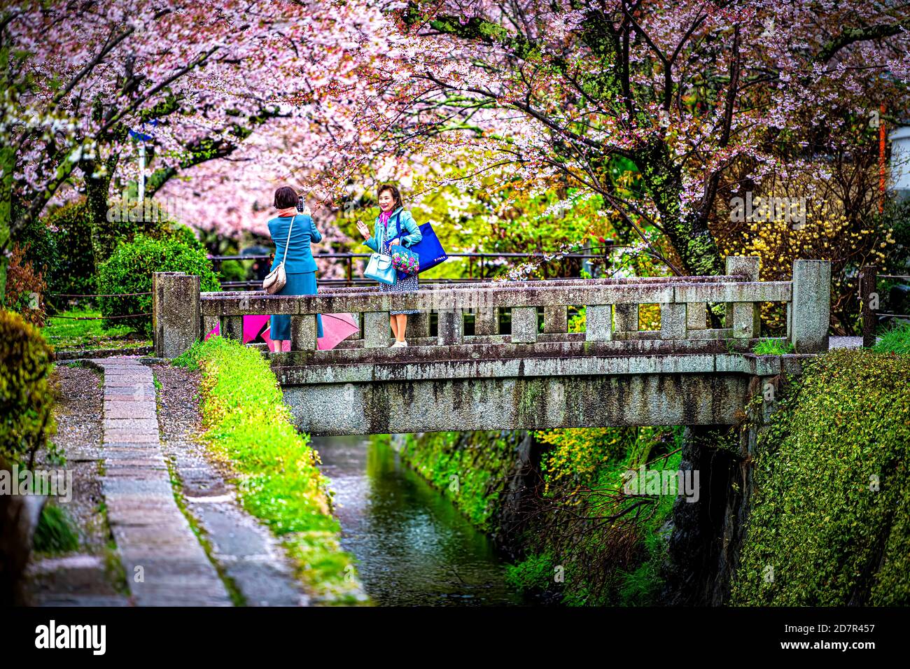 Kyoto, Japan - 10. April 2019: Kirschblüten Sakura Blumen im Frühling im berühmten Philosopher's Walk Garten Park am Fluss und Menschen auf Steinbrücke Stockfoto