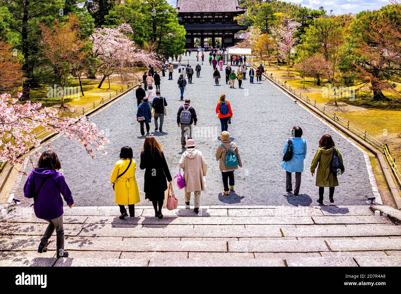 Kyoto, Japan - 10. April 2019: Kirschblüten Blumen Bäume im Frühling am Ninna-ji Tempel mit Menschen Touristen zu Fuß Treppen und Tor Stockfoto