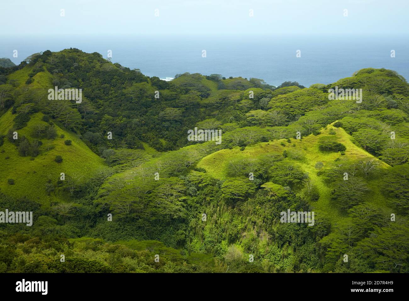 Blick vom Takitoa Ridge Track, Raemaru Mountain, Rarotonga, Cook Islands, Südpazifik Stockfoto
