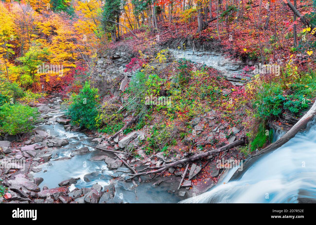 Smokey Hollow Waterfalls fallen die Schieferfelsen in Grindstone Creek in Waterdown, Ontario, Kanada Stockfoto