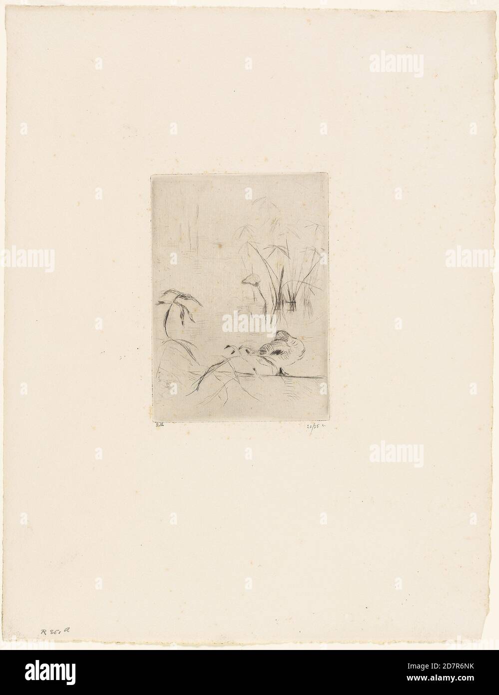 Die Ente - 1889; Berthe Morisot; Französisch; 1841-1895 (Drypoint in schwarz auf cremefarbenem Papier) Stockfoto