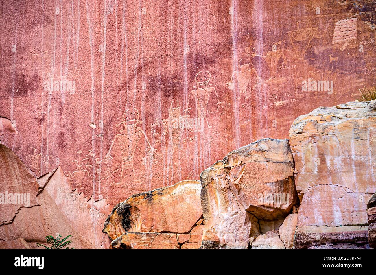 Felswand Petroglyphen Symbole der alten Anasazi Indianer Stamm Menschen Im Capitol Reef National Park in Utah mit rotem Felsen Farbe Nahaufnahme Stockfoto