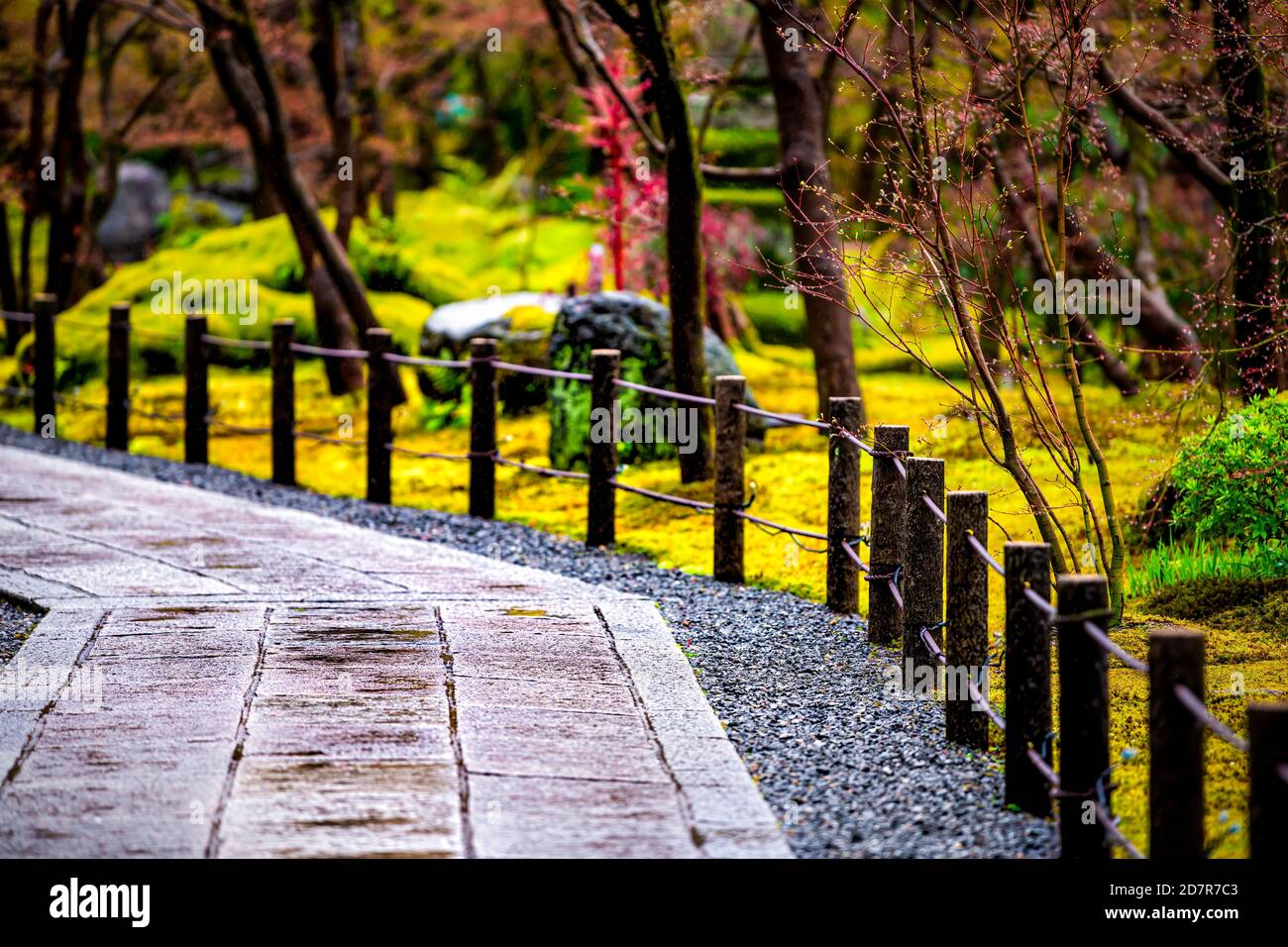 Kyoto, Japan Eikando Tempel Schrein und Moos Garten im Frühjahr mit grüner Farbe und leere Straße Weg Zaun mit niemand Stockfoto