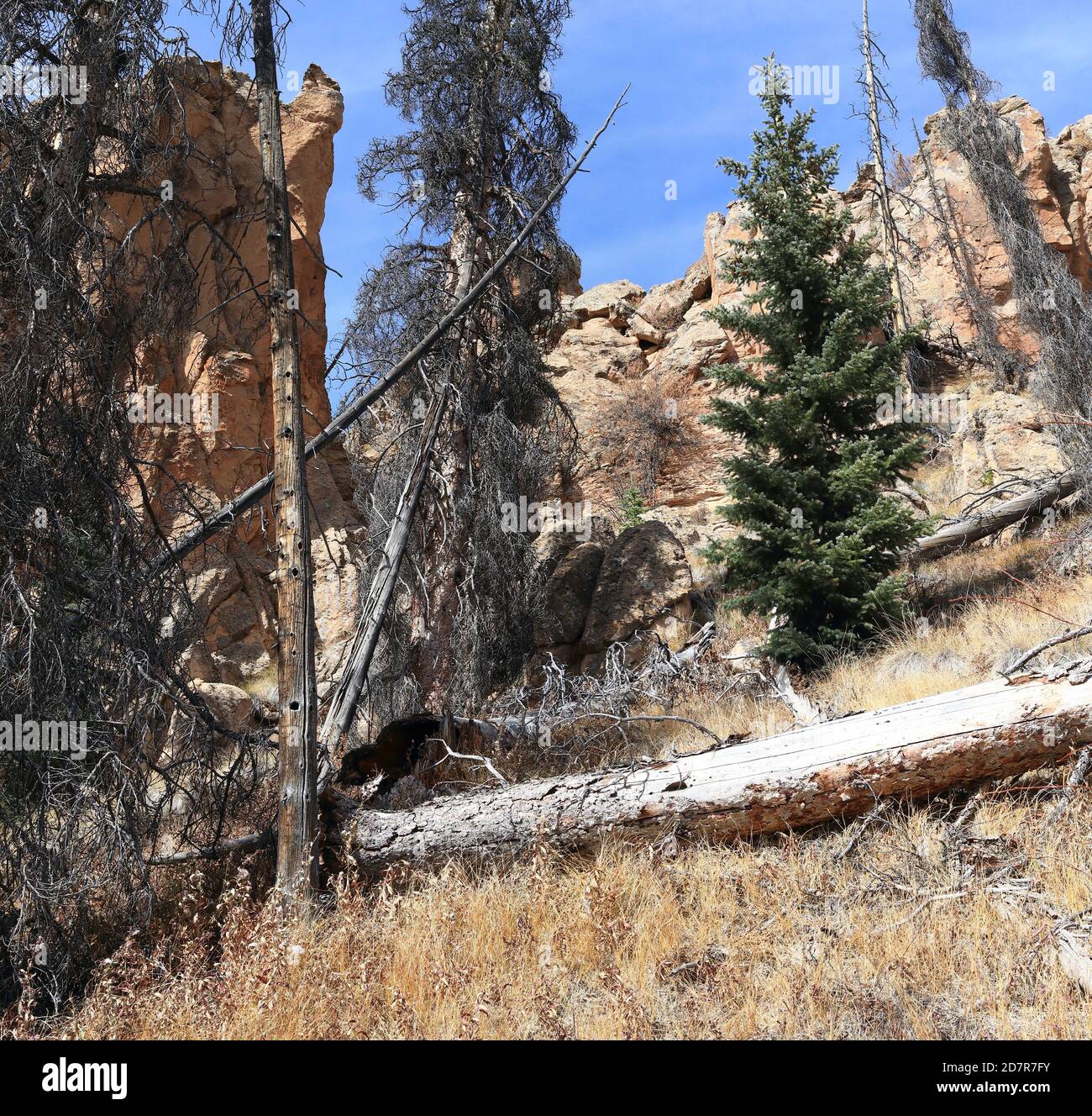 Den Berg hinauf wandern Stockfoto