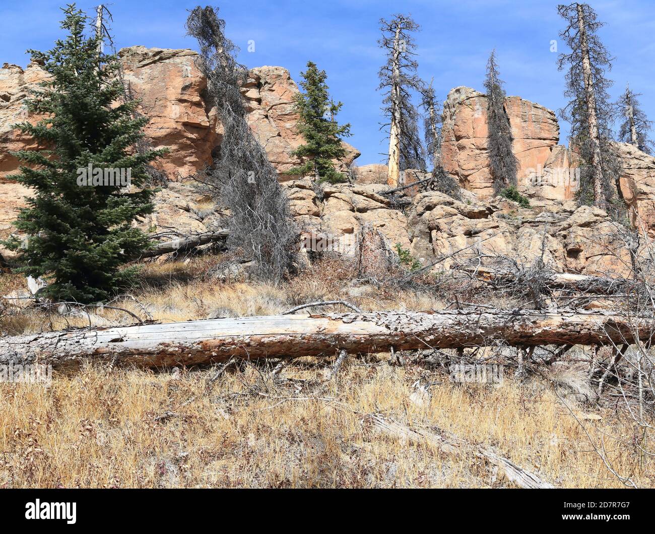 Den Berg hinauf wandern Stockfoto