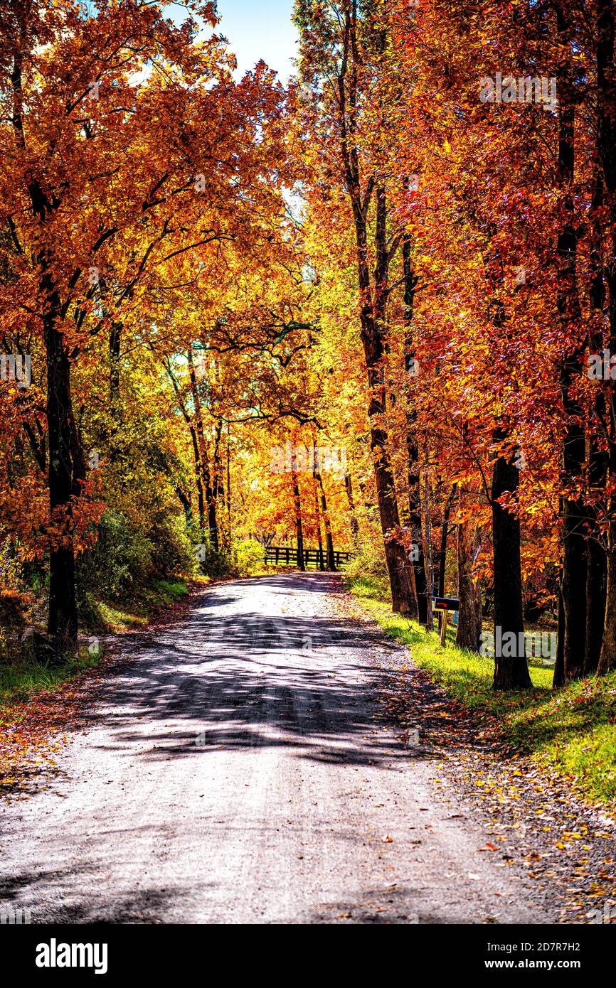 Straße Schotter Feldweg während orange roten Herbst in ländlichen Landschaft im Norden von Virginia mit Bäumen säumen Pfad in vibrierenden Laub Nachbarschaft Stockfoto