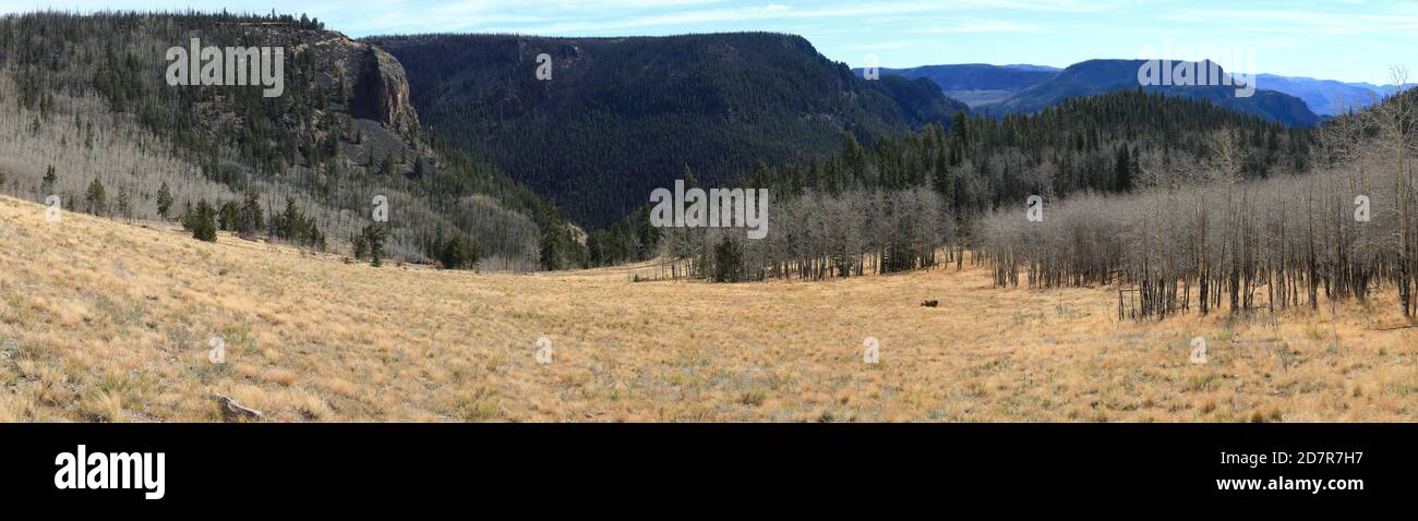 Panoramablick Auf Colorado Stockfoto