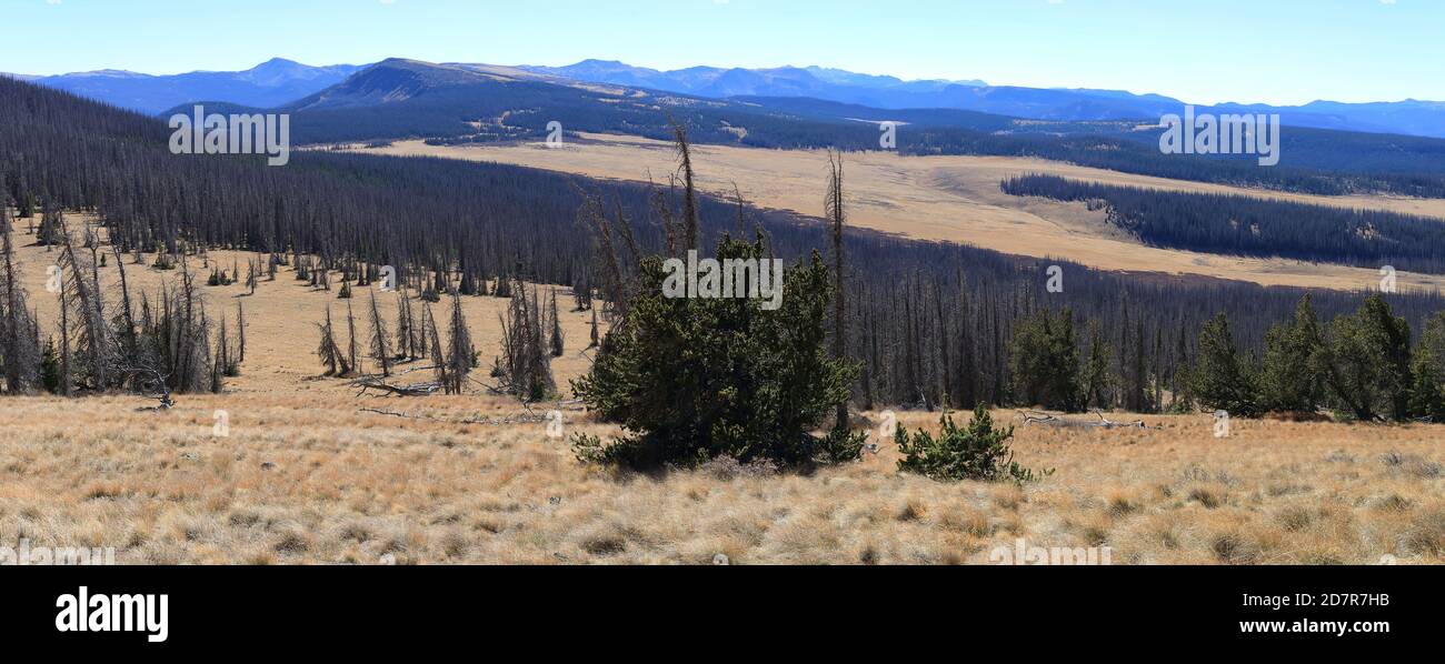 Panoramablick Auf Colorado Stockfoto