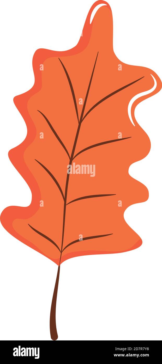 Eichenblatt-Symbol auf weißem Hintergrund, flacher Stil, Vektorgrafik Stock Vektor
