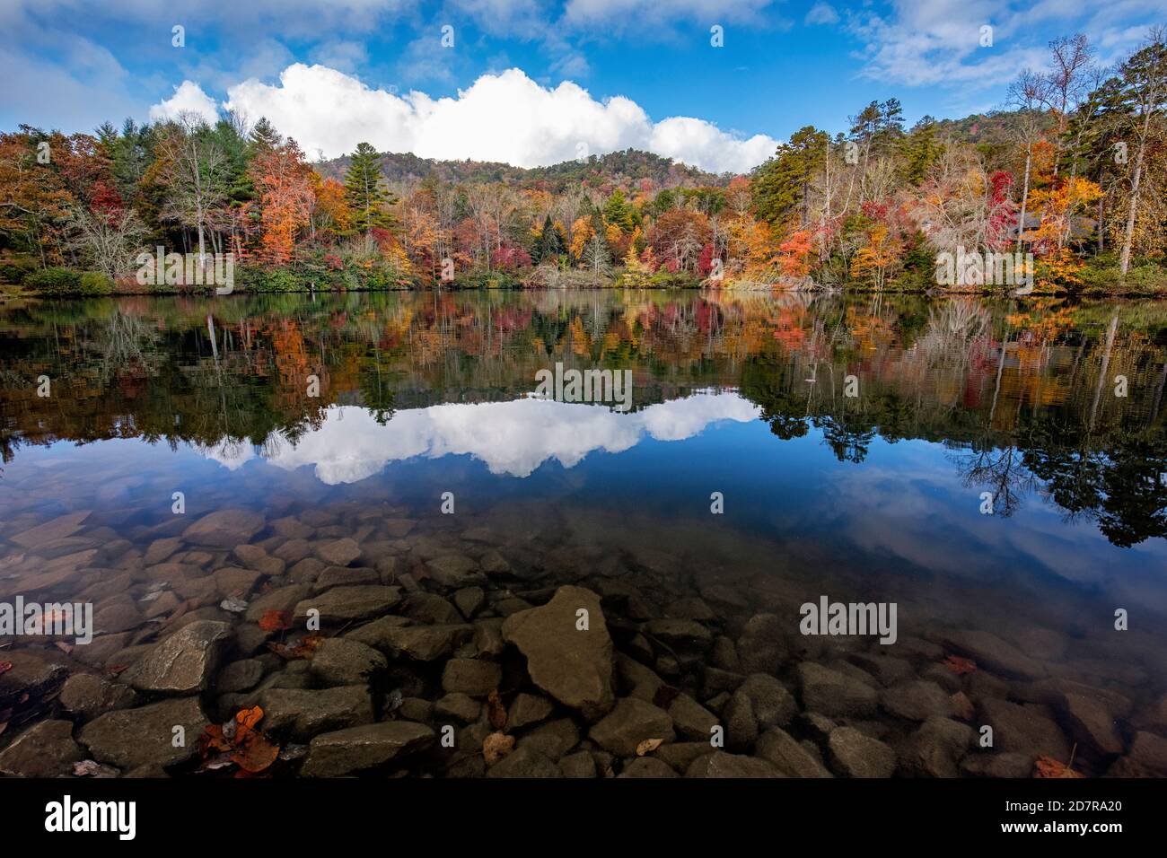 Herbstfarbspiegelungen am Straus Lake - Brevard, North Carolina, USA Stockfoto