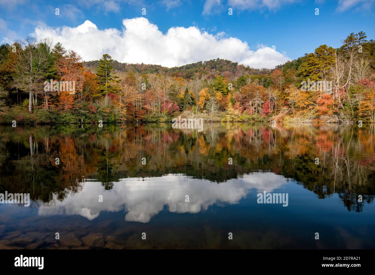 Herbstfarbspiegelungen am Straus Lake - Brevard, North Carolina, USA Stockfoto