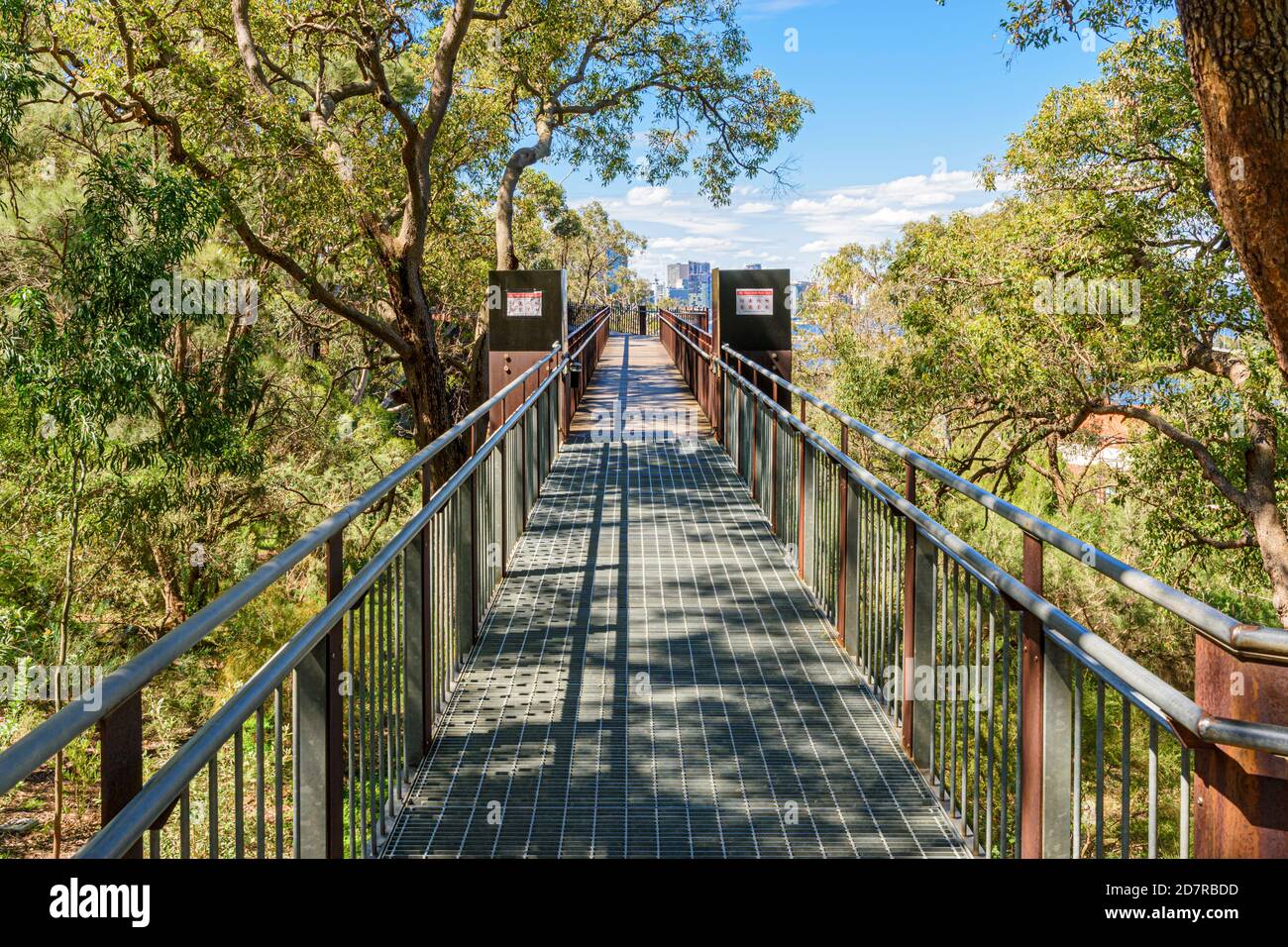 The Kings Park Lotterywest Federation Walkway Bridge, Perth, Australien Stockfoto