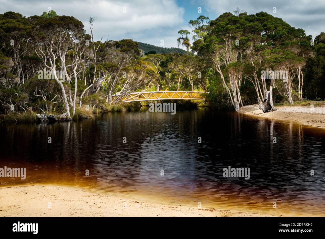 Teebaum gefärbtes braunes Wasser am Sisters Creek im Norden Tasmaniens. Stockfoto