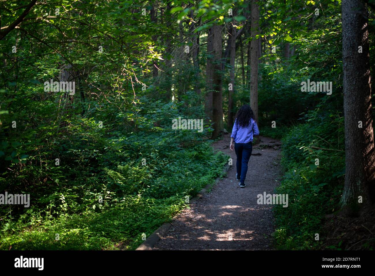 Junger Mann allein in idyllisch grünen Wäldern folgt einem einsamen Pfad Stockfoto