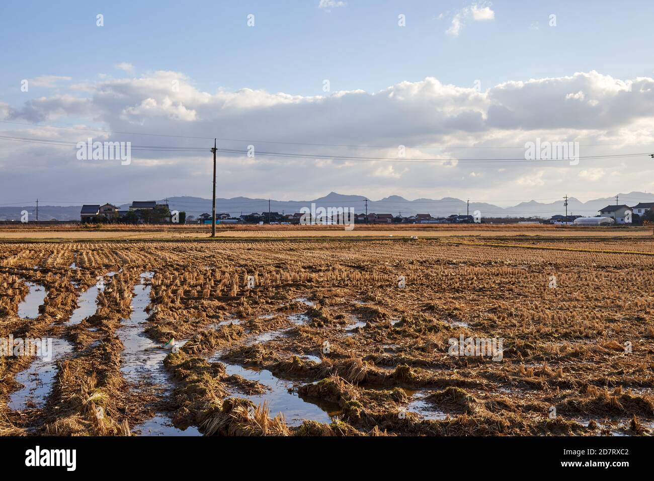 Schlammiges Feld im Winter, ländliche Japan; Präfektur Shimane Stockfoto