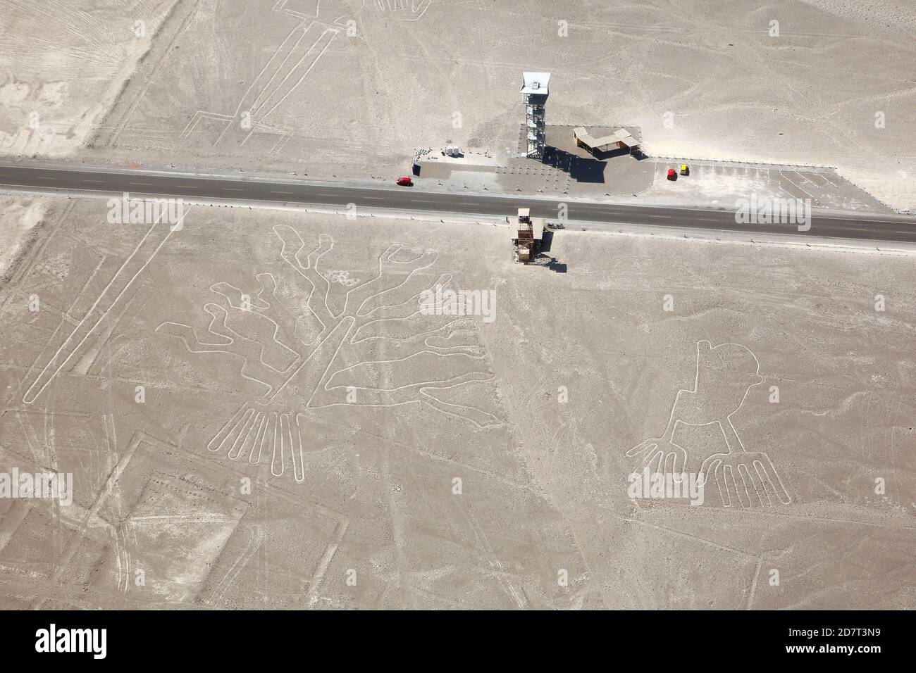 Luftaufnahme der Nazca Geoglyphen der Baum und die Hände. Nazca, Peru