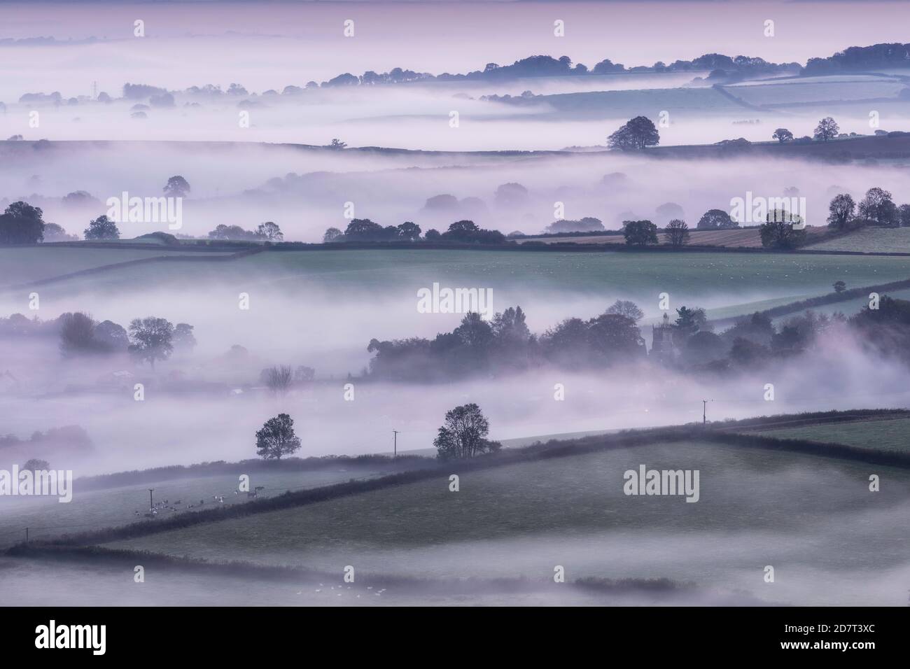 Neblige Morgendämmerung von Pilsdon Pen, Dorset, England, Großbritannien Stockfoto