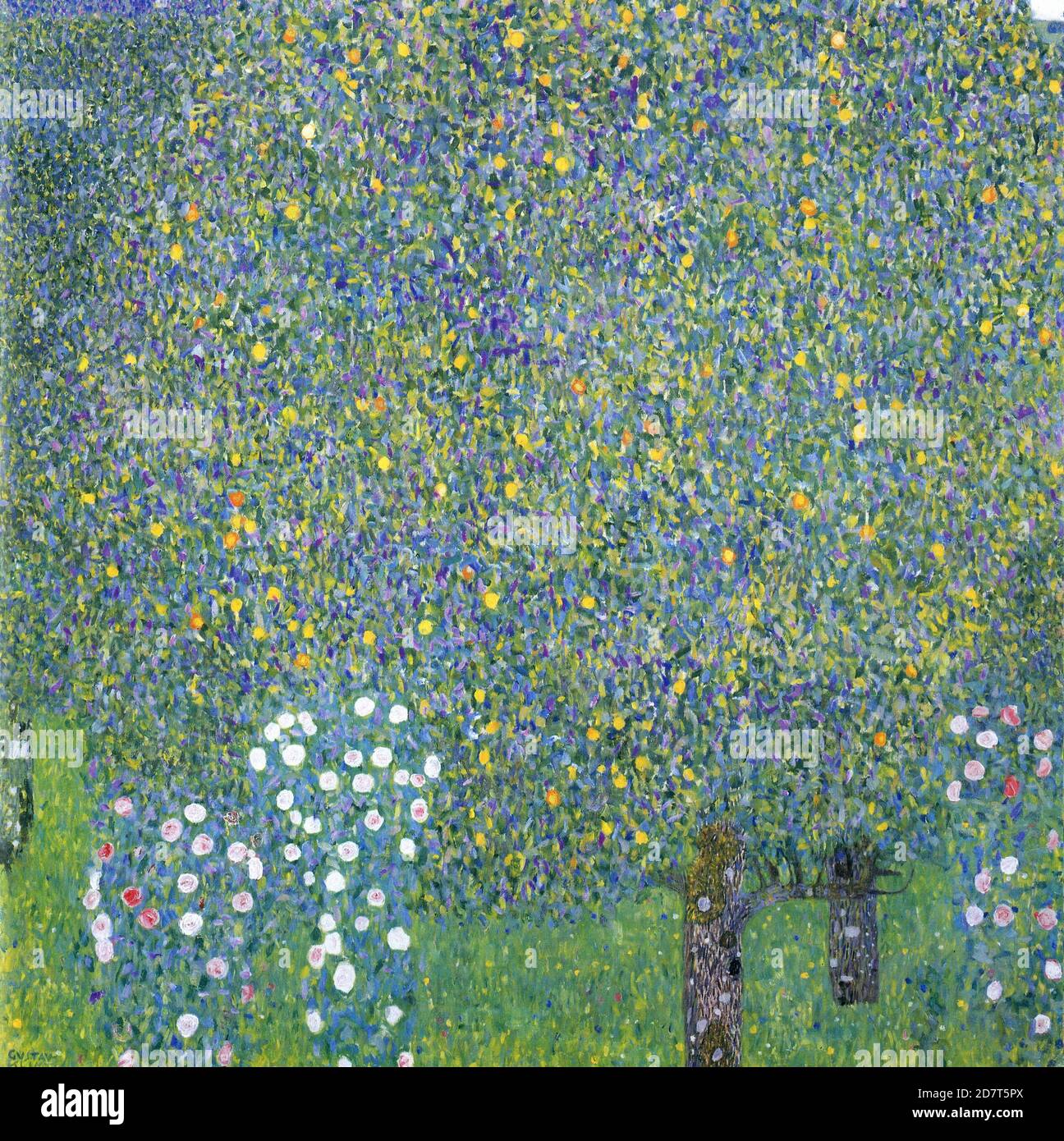 Titel: Rosen unter den Bäumen Ersteller: Gustav Klimt Datum: ca. 1905  Medium: Öl auf Leinwand Maße: 110 x 110 cm Ort: Musée d'Orsay, Paris  Stockfotografie - Alamy