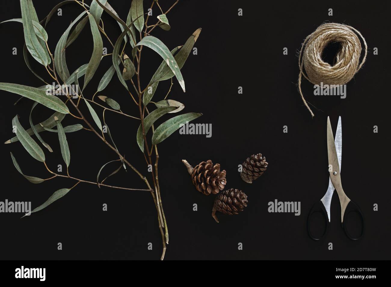 Blumenarrangement mit Eukalyptuszweigen auf schwarzem Hintergrund Stockfoto