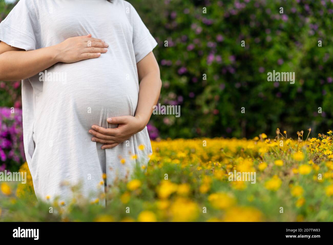 Schwangere Frau, die sich zu Hause glücklich fühlt, während sie sich um ihr Kind kümmert. Die junge schwangere Mutter hält das Baby im schwangeren Bauch. Mutterschaft pränatal Stockfoto