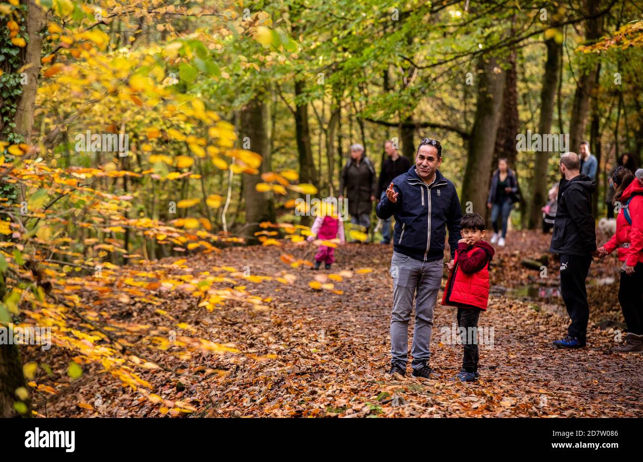 Skipton, North Yorkshire, Großbritannien. Oktober 2020. Sonniges Wetter in den Wäldern rund um Skipton Castle heute, einer der besten Orte im Land, um die Herbstfarben zu sehen. Kredit: ernesto rogata/Alamy Live Nachrichten Stockfoto