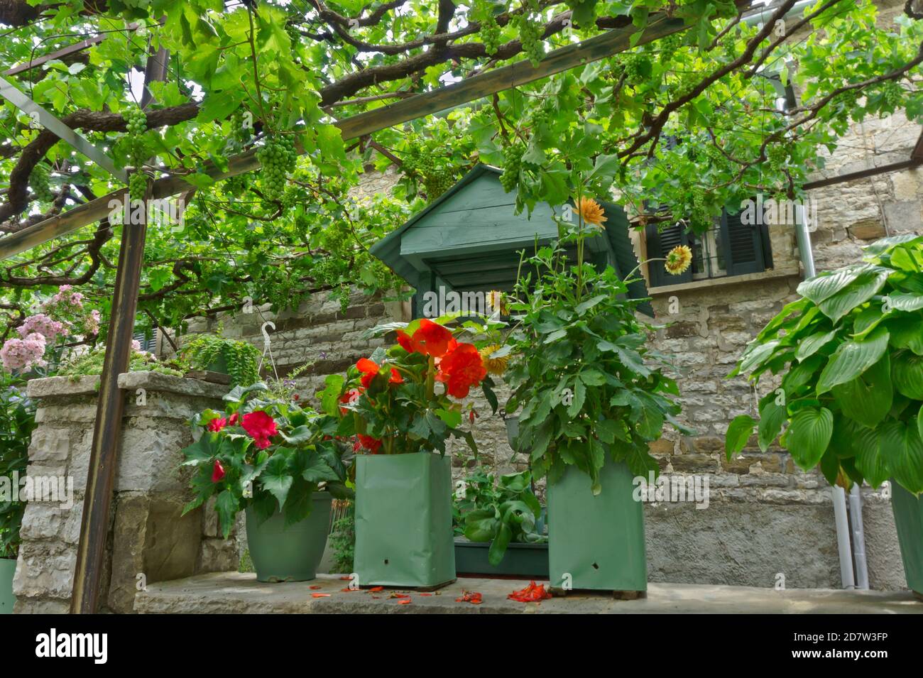 Papingo Epirus, Old Stone Village Street view, Griechenland, Europa Stockfoto