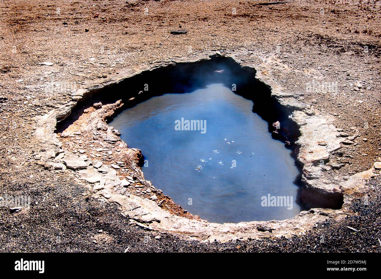 Einer der geothermischen Pools des Yellowstone National Park. Yellowstone war der erste Nationalpark der Welt. Die Caldera gilt als aktiver Vulkan Stockfoto