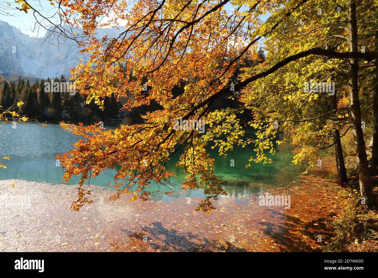 Herbst im Naturpark Fusine Seen, Italien Stockfoto