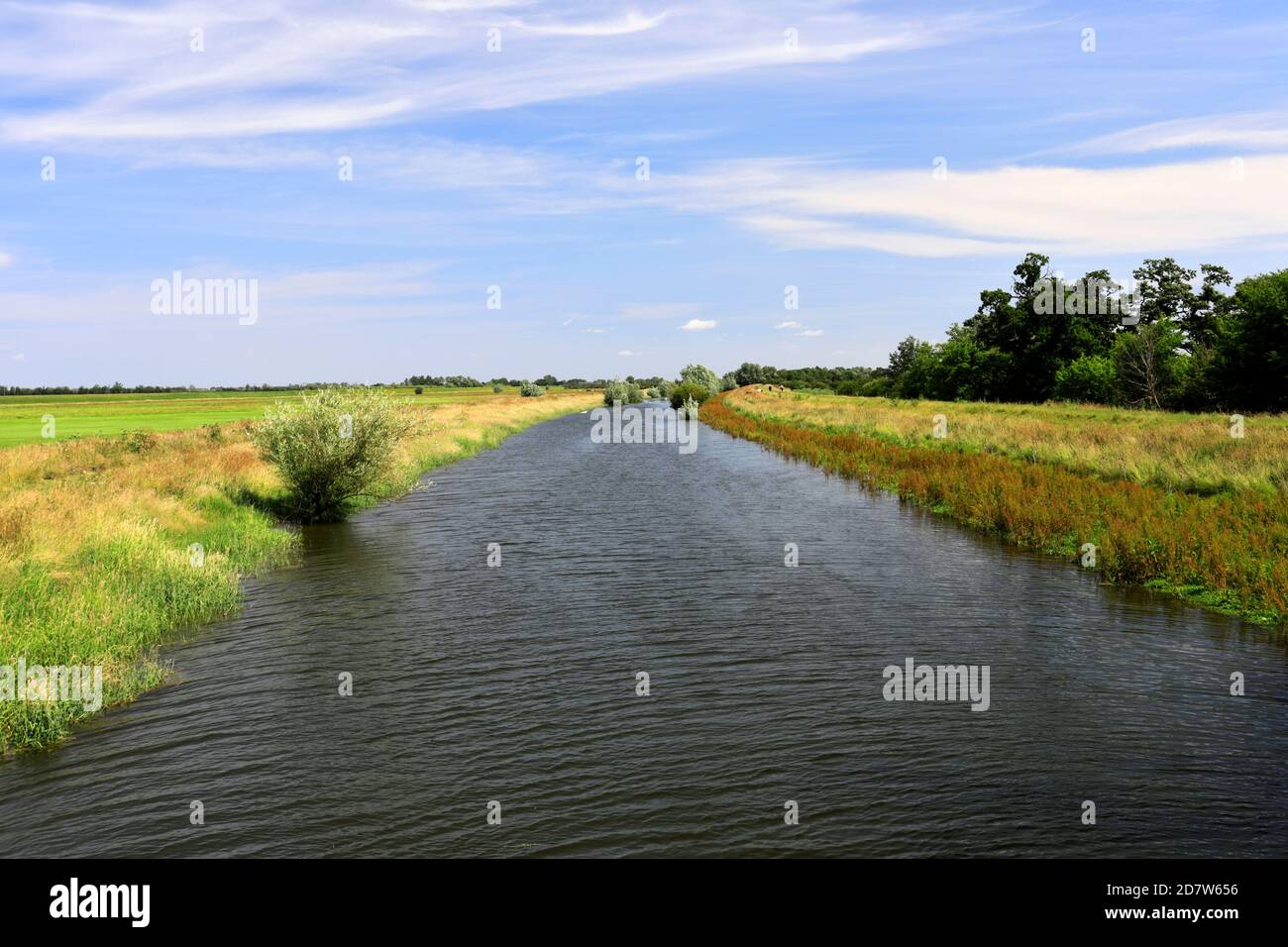 Der New Bedford River, Sutton im Isle Village, Cambridgeshire; England, Großbritannien Stockfoto