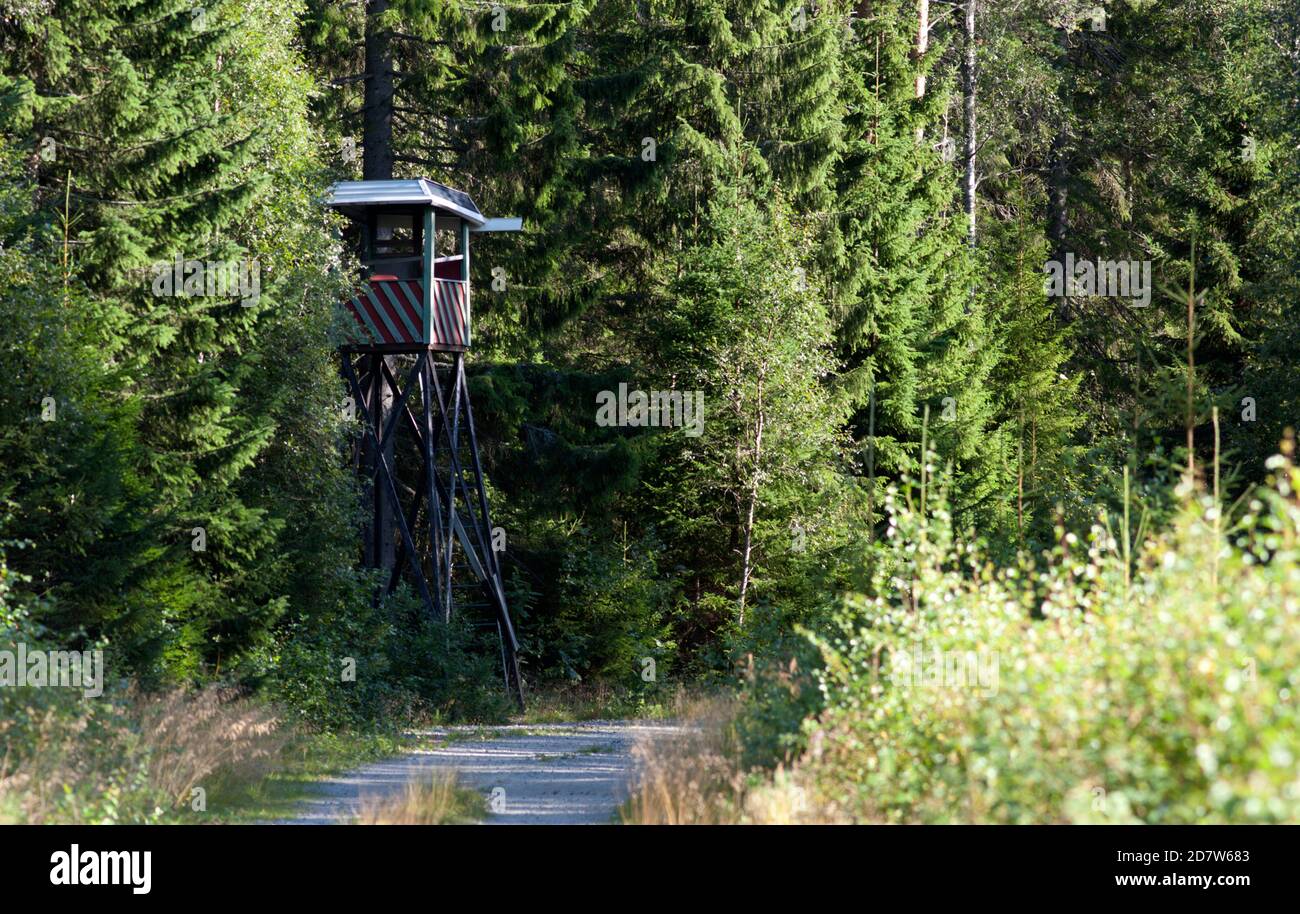 Jagdturm in einem Wald. Elche, Elche im September, Oktober ist das Hauptthema in diesem Bereich. Stockfoto