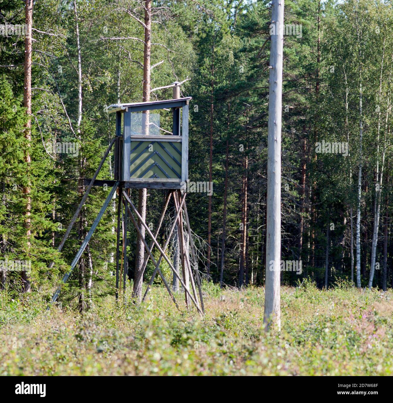 Jagdturm in einem Wald. Elche, Elche im September, Oktober ist das Hauptthema in diesem Bereich. Stockfoto