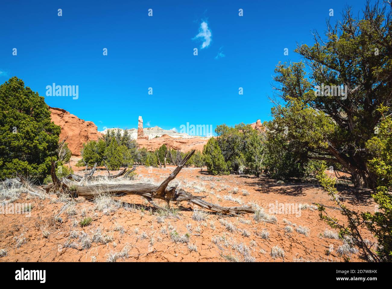 Kodachrome Basin State Park, Utah - USA Stockfoto