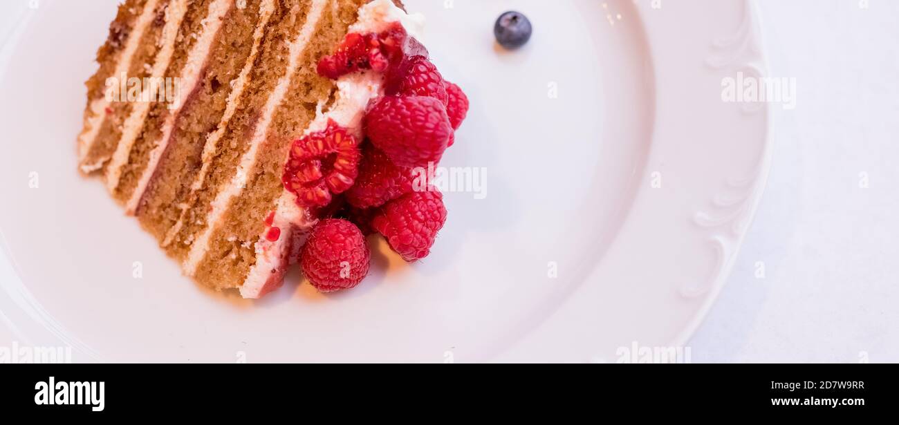 Hausgemachter Käsekuchen mit frischen Beeren.gesunde Bio Sommer Dessert Kuchen Käsekuchen.Web Banner.EIN Stück Schokolade Beerenkuchen in einem weißen Teller. Der Stockfoto