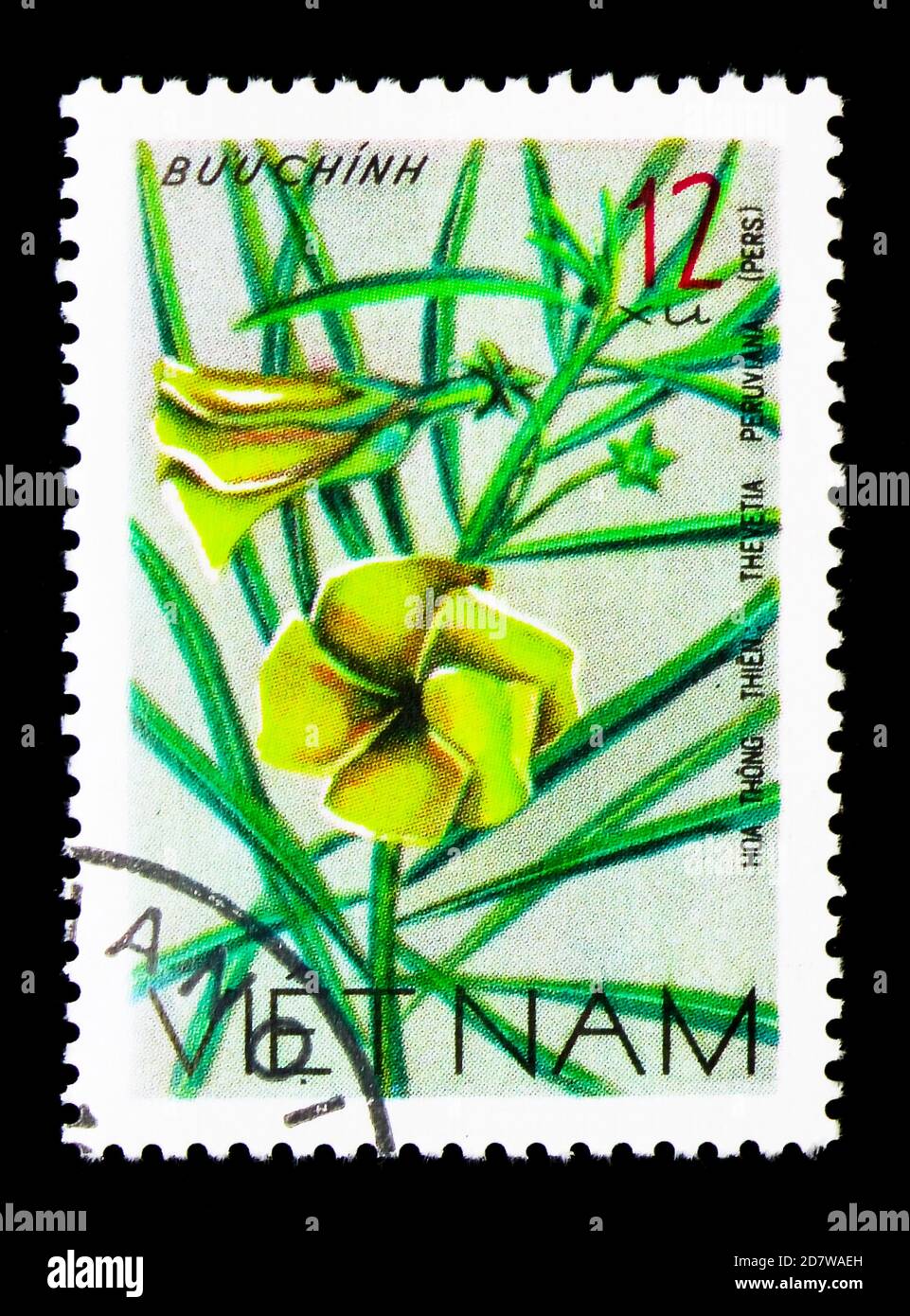 MOSKAU, RUSSLAND - 28. MÄRZ 2018: Eine in Vietnam gedruckte Marke zeigt Thevetia peruviana, Wildflowers Serie, um 1977 Stockfoto