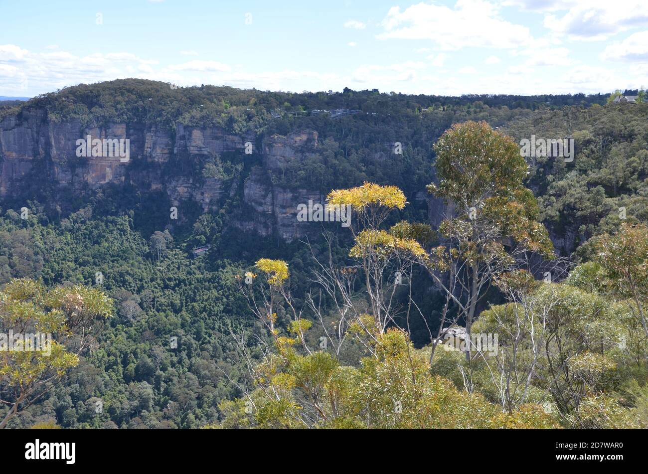 Jamison Valley, The Blue Mountains, NSW Stockfoto