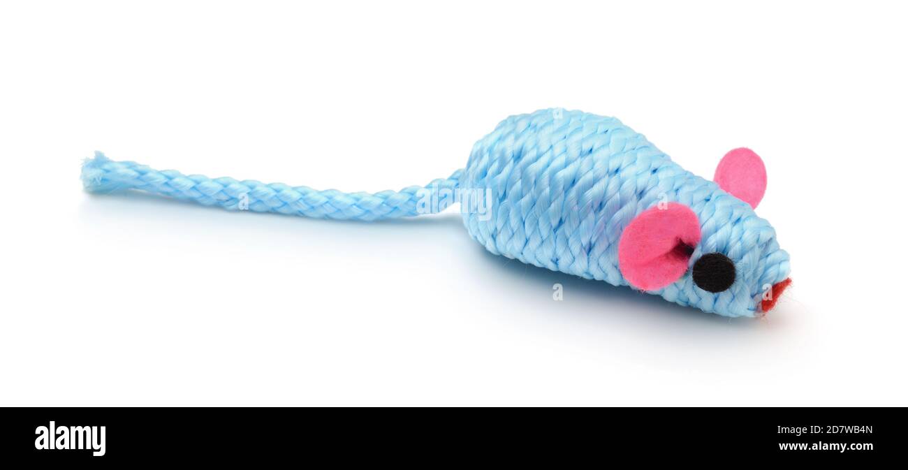 Blaue Spielzeug-Maus für Katzen isoliert auf weiß. Stockfoto
