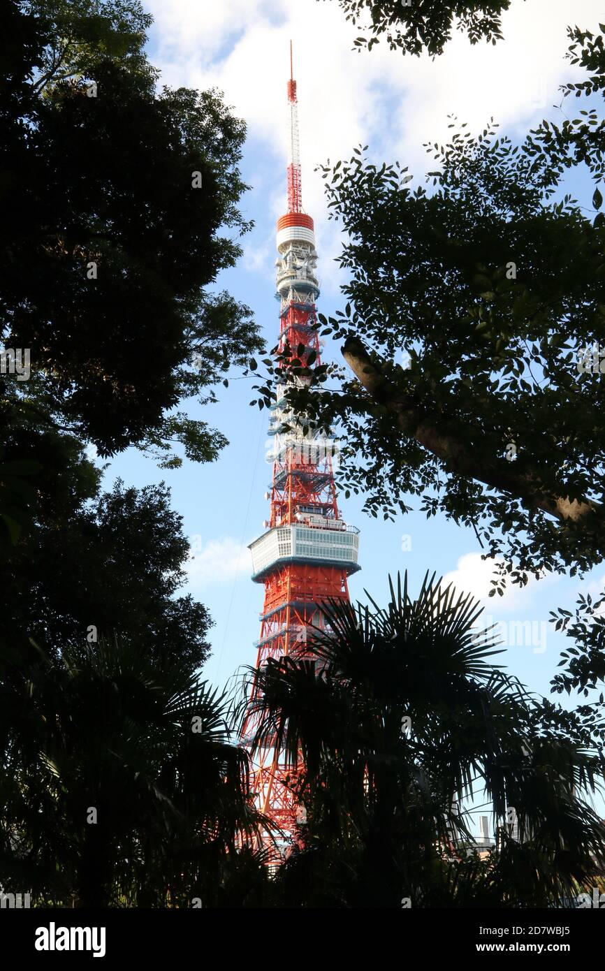 Silhouette der Vegetation mit Tokyo Tower vor blauem Himmel, Tokio, Japan Stockfoto