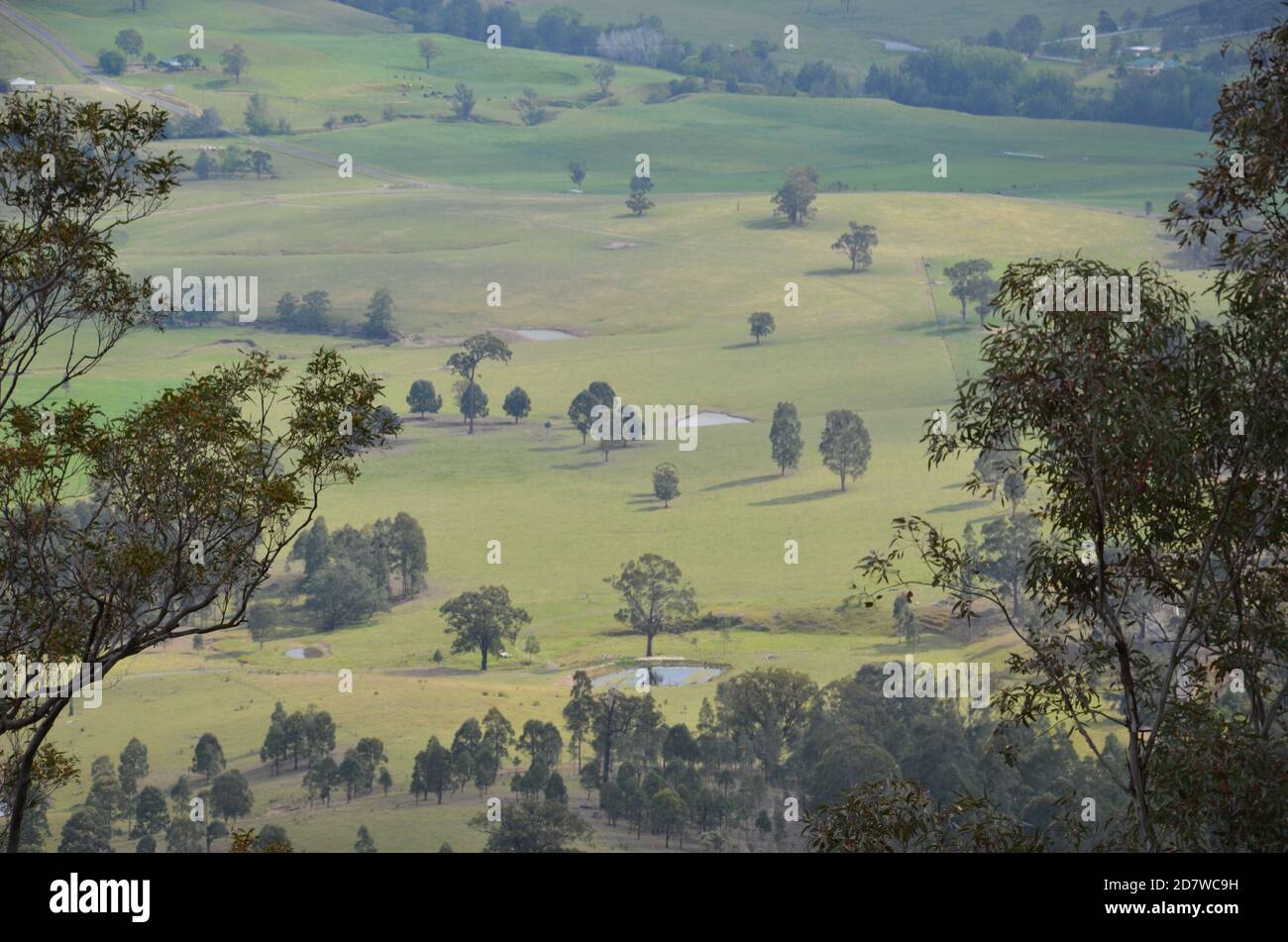 Hunter Valley Landscape, NSW Stockfoto