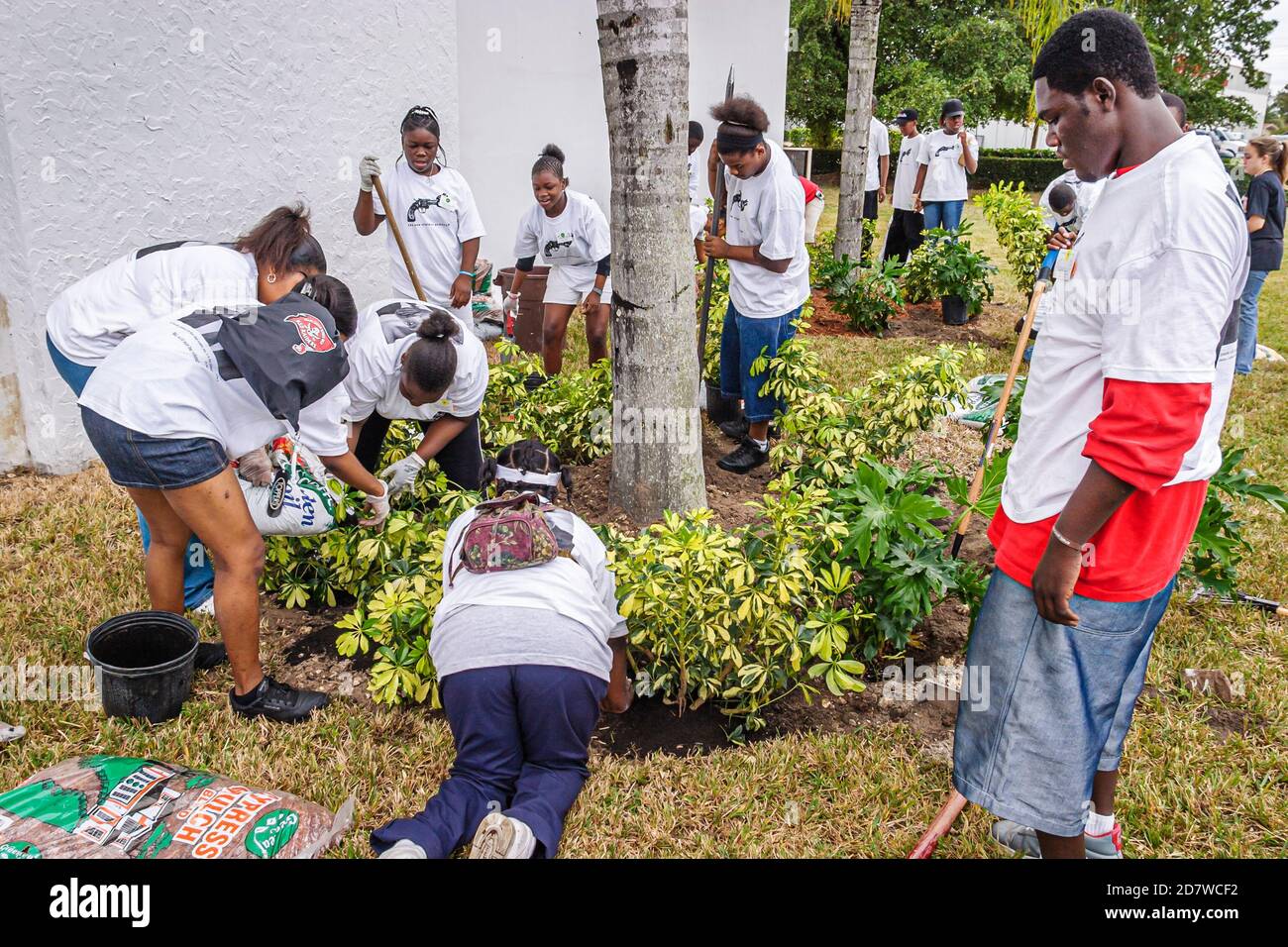 Miami Florida,Non Violence Project USA,Studenten Anti-Drogen-gemeinnütziger Verein,Martin Luther King Jr. Tag Teenager Teenager Teenager Jugendliche,Schwarz Stockfoto