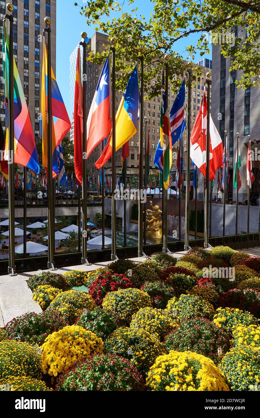 Blick auf die Flaggen und Herbstpflanzen von Müttern, die die Rink im Rockefeller Center, Midtown Manhattan, NY umgeben Stockfoto