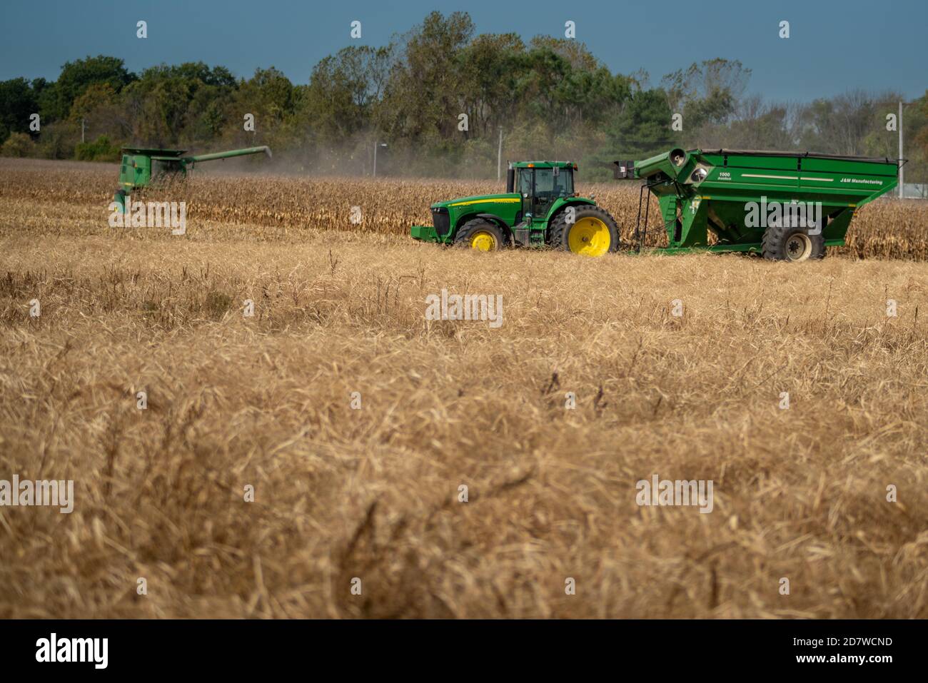 Libanon, IL--Oct 17, 2020; Grünerntemaschinen und Traktoren ernten goldene trockene Kornfelder auf der Farm im Mittleren Westen. Stockfoto