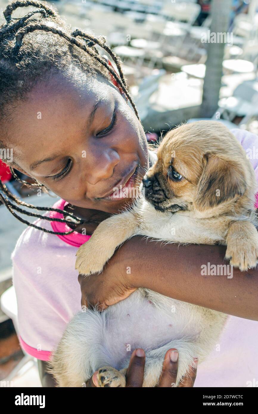 Florida Kendall schwarz afrikanisches Mädchen Kind hält hält Welpen, umarmt Hund, Stockfoto