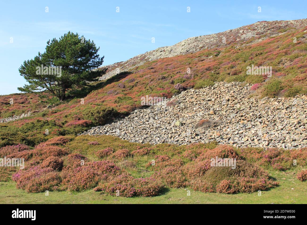 Penmaenmawr Stockfoto