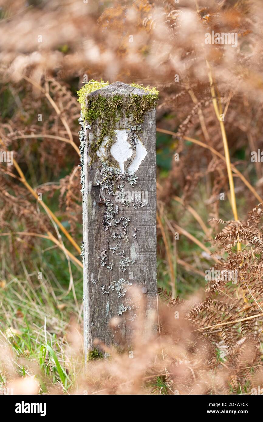 Scotland's Great Trails - Fernwanderwege in Schottland Marker, Wanderzeichen, Logo - hier auf dem West Highland Way abgebildet Stockfoto
