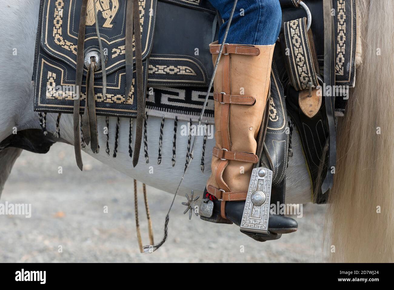 Detail eines Cowboys bei einer Aufführung des mexikanischen Pferdetanzes beim Dia de los Muertos Community Celebration in Tieton, Washington am Samstag, Stockfoto