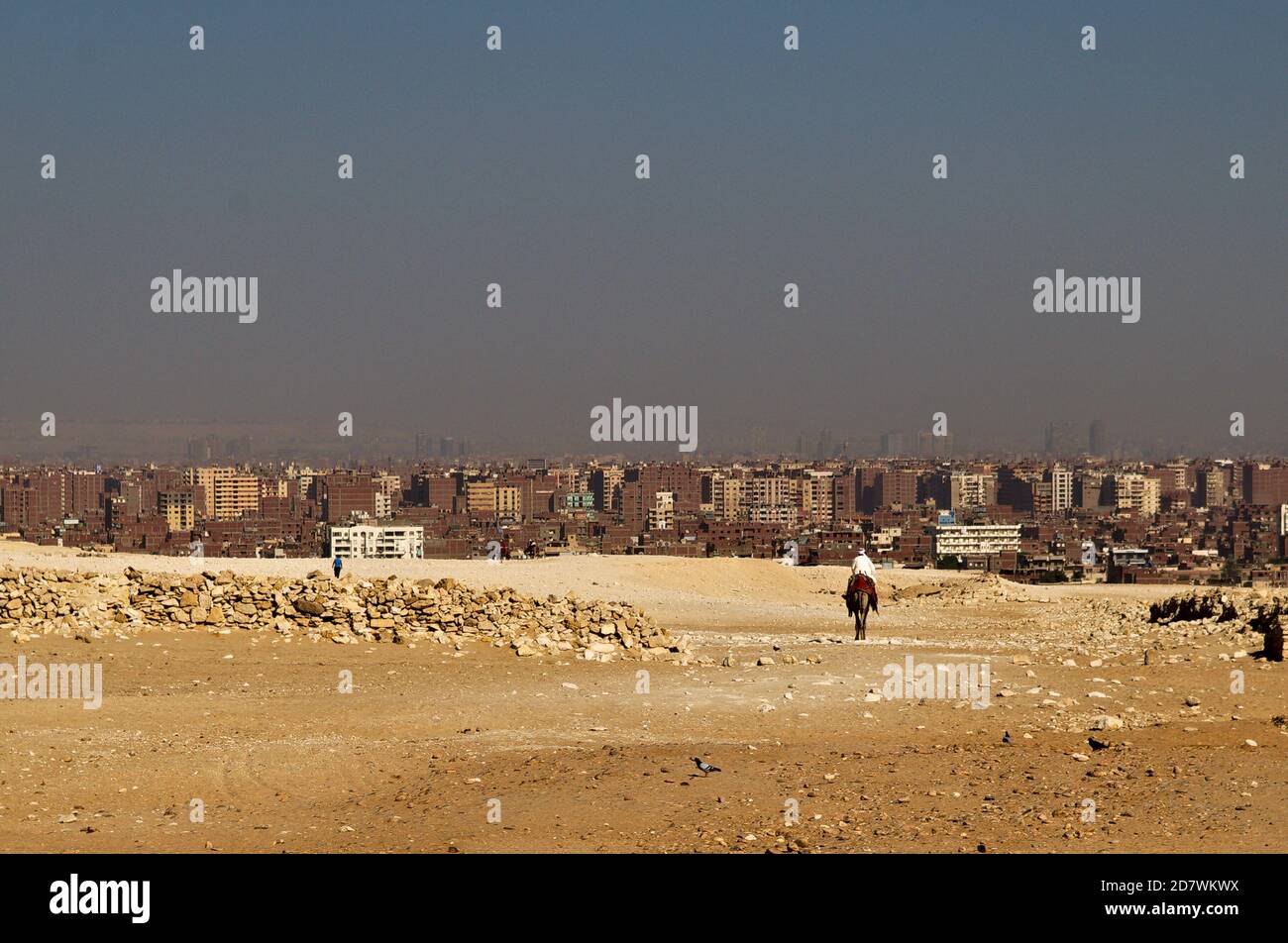 Beduinen reiten nach Kairo, Ägypten. Stockfoto